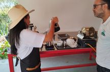 Coffee tour Medellin 