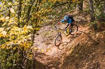 Prague Mountain Biking: Blast Through The Best Singletracks