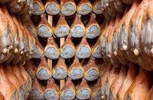 Behind the Scenes at Prosciutto di Parma Producer: Tour & Tasting