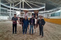 Weekend Entre to Charros Mariachi Tequila and Guachimontones 