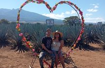 Weekend Entre to Charros Mariachi Tequila and Guachimontones 
