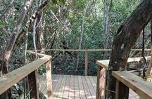 Guided Primeval Nature Walk Tour in Primeval Forest National Park