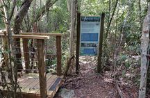 Guided Primeval Nature Walk Tour in Primeval Forest National Park