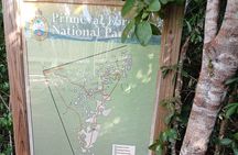 Guided Primeval Nature Walk Tour in Primeval Forest National Park