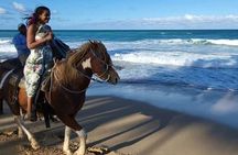 2-Hour Horseback Riding Tour at Sunset from Punta Cana