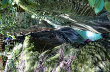 Waterfall Private Tour- Puerto Plata/Lunch and Fruit Stop Include