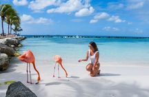 Speedboat Tour to Saona Island Vip with Open Bar and Meals!