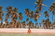 Speedboat Tour to Saona Island Vip with Open Bar and Meals!