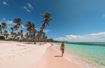 Speedboat Tour to Saona Island Vip with Open Bar and Meals!