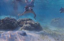 All-Inclusive Full-Day Hol Chan Snorkeling Tour 