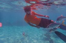 All-Inclusive Full-Day Hol Chan Snorkeling Tour 