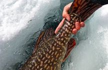 Half Day Private Guided Ice Fishing Trip in the Yukon