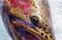 Half Day Private Guided Ice Fishing Trip in the Yukon