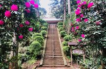Buddha, Bamboo & Zen - Bespoke Kamakura Private Walking Tours