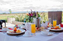 9 Days 8 Nights Classic Safari Tour in Kenya and Tanzania 