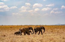 The Best 4 Days Serengeti & Ngorongoro Private Mid-range Safari