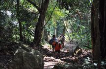 Jungle Life In Ba Be National Park 4 Days 3 Nights