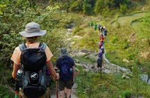 Jungle Life In Ba Be National Park 4 Days 3 Nights