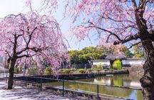Tokyo Private Tour of the Imperial Palace East Gardens