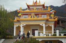 Dharamshala Half Day Sightseeing Tour