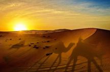 Morning Dune Drive with Sandboarding and Camel Ride 