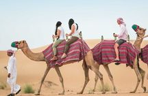 Morning Dune Drive with Sandboarding and Camel Ride 