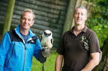 Private Family Bird of Prey Experience in Carlisle