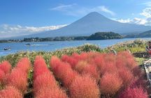 Full Day Private Tour in Mount Fuji and Hakone