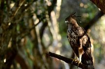Yala National park with tickets with jeep safari from Hambantota