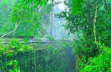 Exploring the Mystical Temples of Banteay Srei and Beng Mealea
