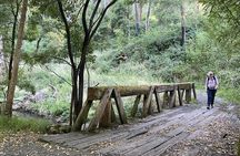 Daylesford Goldfields Track Walking and Wellness Experience