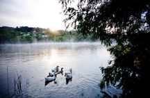 Daylesford Goldfields Track Walking and Wellness Experience