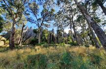 Daylesford Goldfields Track Walking and Wellness Experience