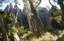 Daylesford Goldfields Track Walking and Wellness Experience