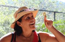 City tour, Butterflies, Tequila, river & Beach with Food included