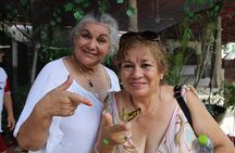 City tour, Butterflies, Tequila, river & Beach with Food included