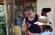 Private Rastafarian Indigenous Village Tour from Montego Bay