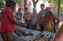 Private Rastafarian Indigenous Village Tour from Montego Bay