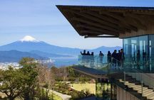 Small Group Japanese Green Tea Tasting in Shizuoka