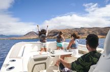 Private Whale Watching Trip from Oahu