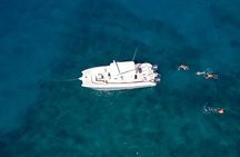 Private Whale Watching Trip from Oahu