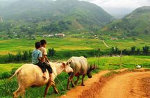 Trekking to Ta Phin, pick medicinal leaves and herbs.
