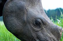 Chitwan Jeep Safari