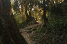 Private Full-Day Hiking Tour in Nagarkot
