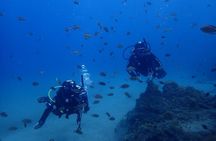 Try Scuba Diving in Lanzarote (No experience needed)