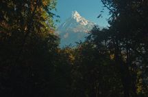 Ghorepani Poonhill Trek