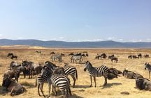 2 Days Tanzania Midrange Group Join Safari 