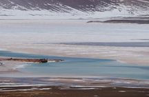 Day Tour to Piedras Rojas and Altiplanic and Chaxa Lagoons