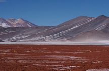 Day Tour to Piedras Rojas and Altiplanic and Chaxa Lagoons
