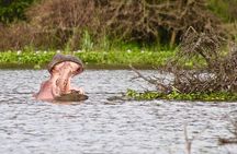 Lake Naivasha Boat ride and Crescent island walk from Nairobi